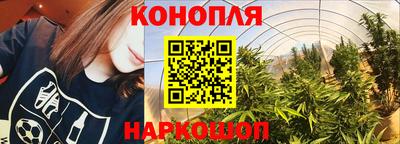 соль ск Моздок