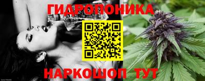 соль ск Моздок